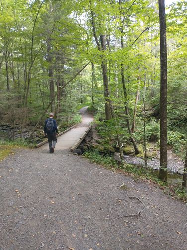 One of the sturdy bridges we were able to use to cross the Creek