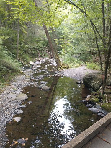 A view of the Creek from the bridge showing a pool along the Creek