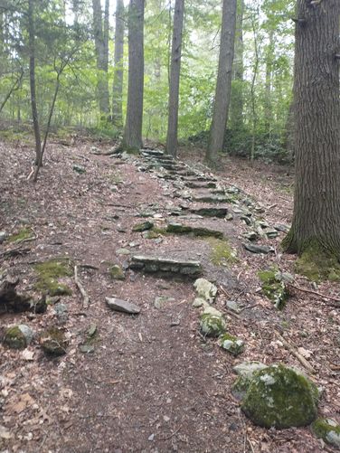 An interesting side trip off of the trail  showed evidence that someone  once call this place home.