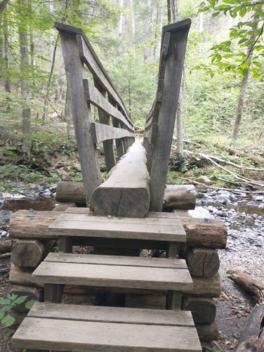 One of the bridges made from  one of  the downed trees