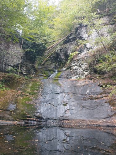 Default image for Lower Indian Ladder Falls via Lower Hornbecks Trail , a 2.3-mile trail in Pocono Ranch Lands, Pennsylvania (US)