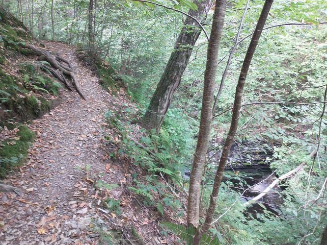 This section of trail used to connect to the Upper falls but is now too damaged  to  safely  hike.  This is the view of the falls from  above along the trail.