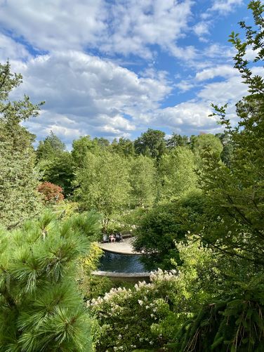 View into the Rock Garden