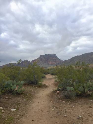 Picture 5 of Lower Salt River Nature Trail