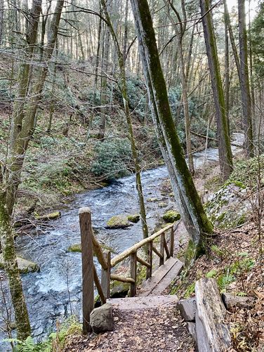 Hiking the wooden staircase along Van Campens Glen Trail