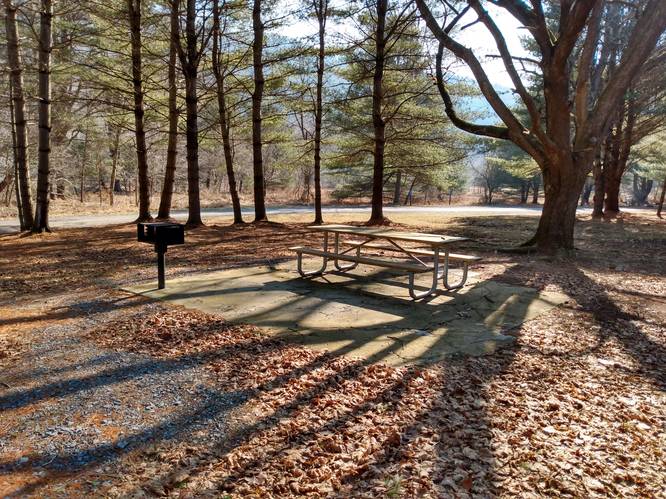 Picnic Tables for Public Use