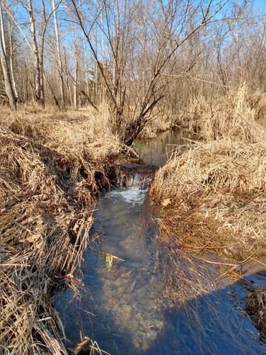 Creek Running at Trail Side