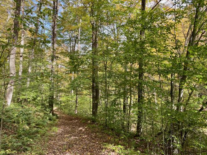 Hiking the Crowell Hollow Trail