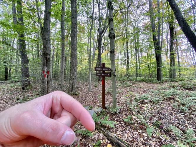 Take a left-hand turn at the Commissioner Trail junction