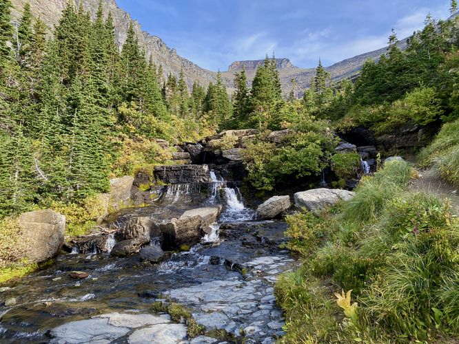 Default image for Lunch Creek Falls Hike, a 0.1-mile trail in Saint Mary, MT (US)