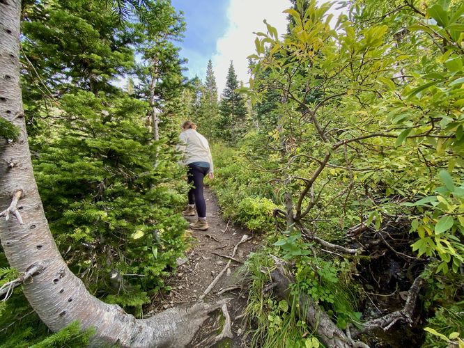 Heading into the forest to explore the top of the falls -- not worth it