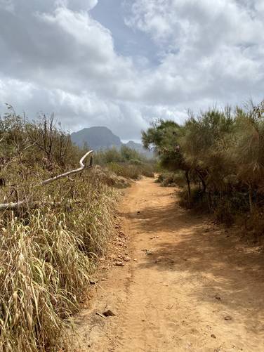 Sandy path of the Makauwahi Cave Trail