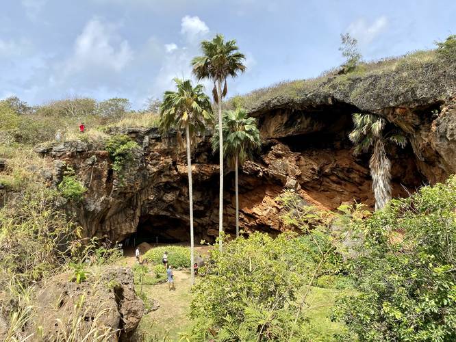 View of the Makauwahi Cave sinkhole from the rim