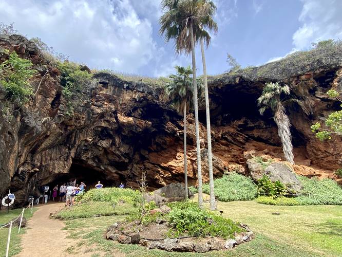 View from the middle of the Makauwahi Cave sinkhole
