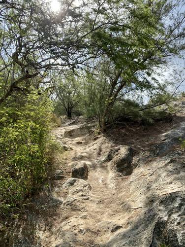 Trail climbs a gradual grade up to Makawehi