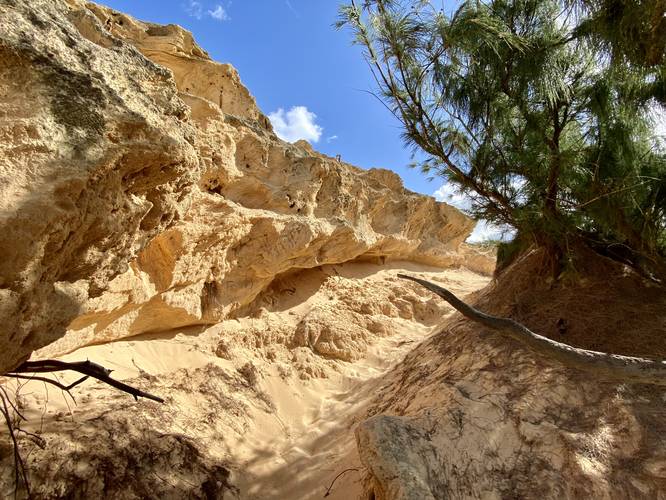 Erosion of Pa'a Dunes - trail passes alongside this undercut