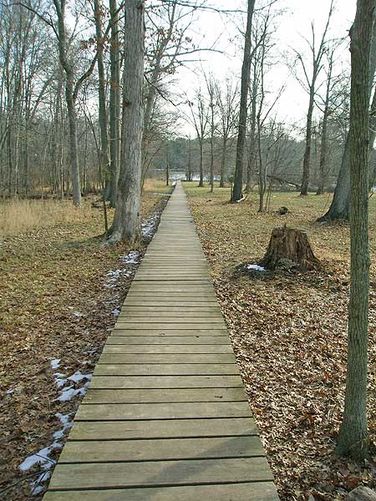Picture 24 of Manassas Bull Run Hike 122405