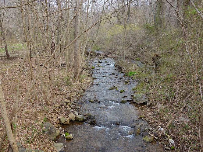Picture 5 of Manassas Gap Hike 032316