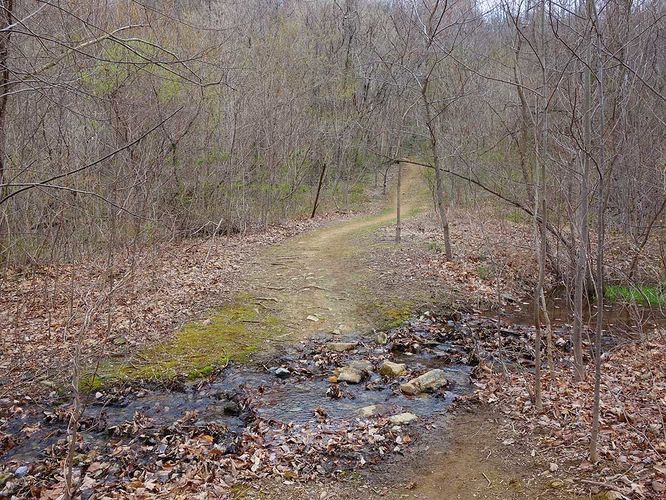 Picture 6 of Manassas Gap Hike 032316