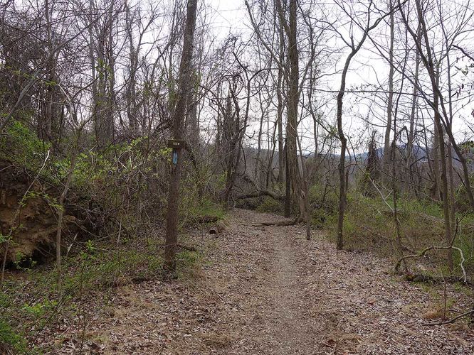 Picture 8 of Manassas Gap Hike 032316