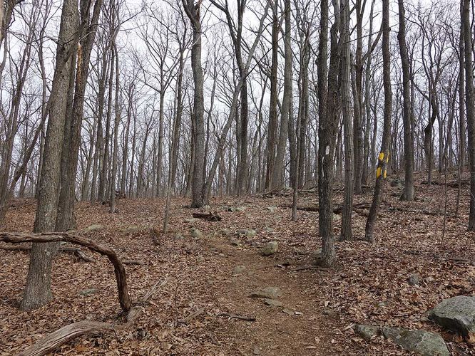 Picture 12 of Manassas Gap Hike 032316