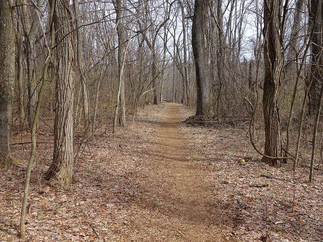 Picture 13 of Manassas Gap Hike 032316