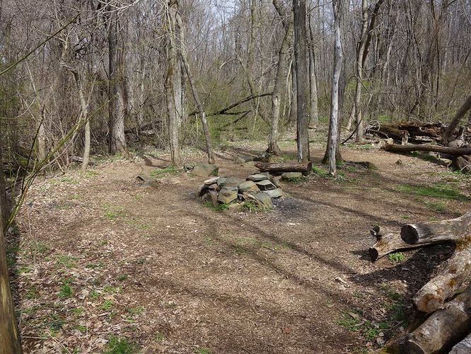 Picture 19 of Manassas Gap Hike 032316