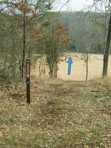Picture 3 of Manassas National Battlefield Groveton 123105