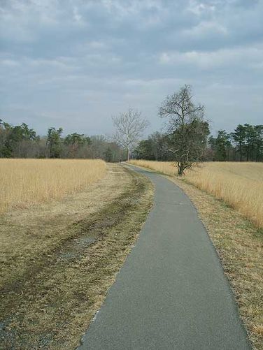 Picture 5 of Manassas National Battlefield Groveton 123105