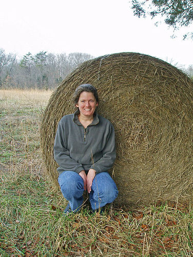 Picture 7 of Manassas National Battlefield Groveton 123105