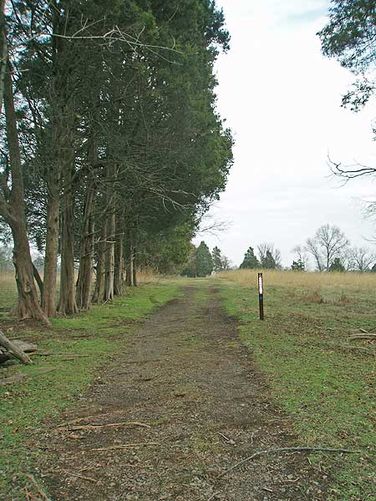 Picture 8 of Manassas National Battlefield Groveton 123105