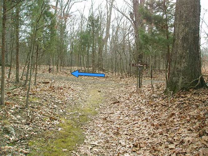 Picture 10 of Manassas National Battlefield Groveton 123105