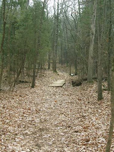 Picture 11 of Manassas National Battlefield Groveton 123105