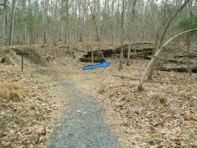 Picture 12 of Manassas National Battlefield Groveton 123105