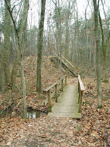 Picture 25 of Manassas National Battlefield Groveton 123105