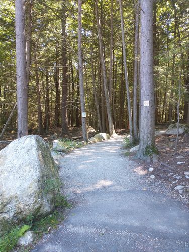 Entrance to the Trails