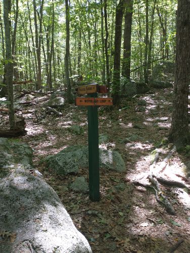 Posts at trail junctions 