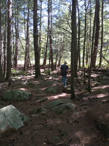 Dense forest and rocky trail