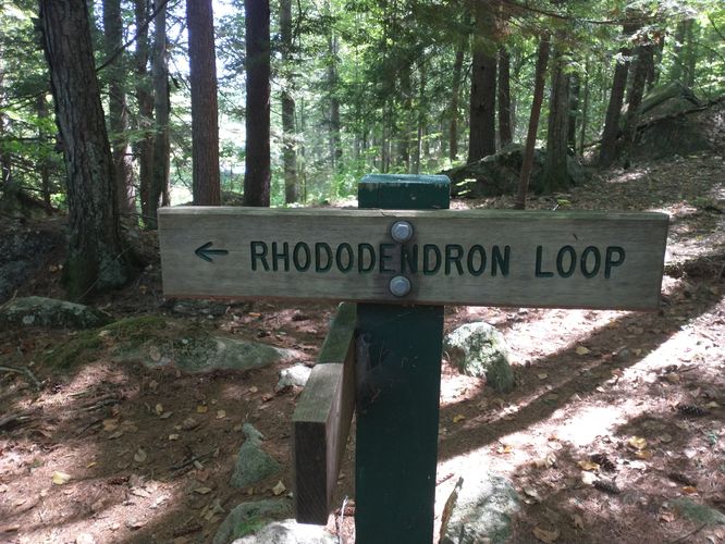 Default image for Manchester Cedar Swamp Loop, a 2.5-mile trail in Manchester, NH (US)