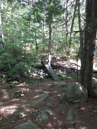 Sturdy wooden bridge to assist crossing the stream 