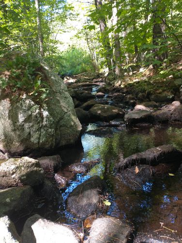 View from the foot bridge 