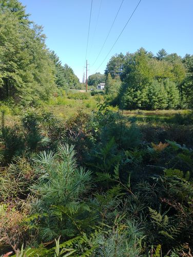 The trail crosses the Power line 