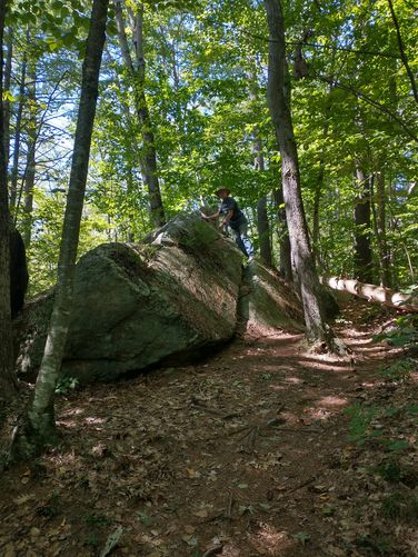 Huge boulders along the Rhododendron Loop Trail 