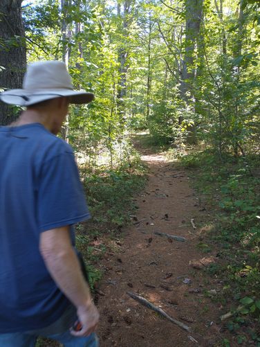 This is NOT part of the trail. Better signage is needed here to prevent going off trail as this path is deceiving.