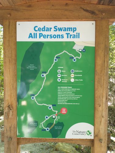 Map with bench and points of interest 