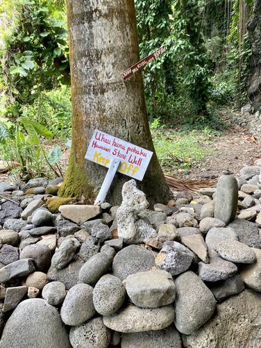 Hawaiian stone wall - keep off