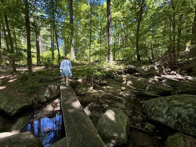 Creek crossing w/bridge