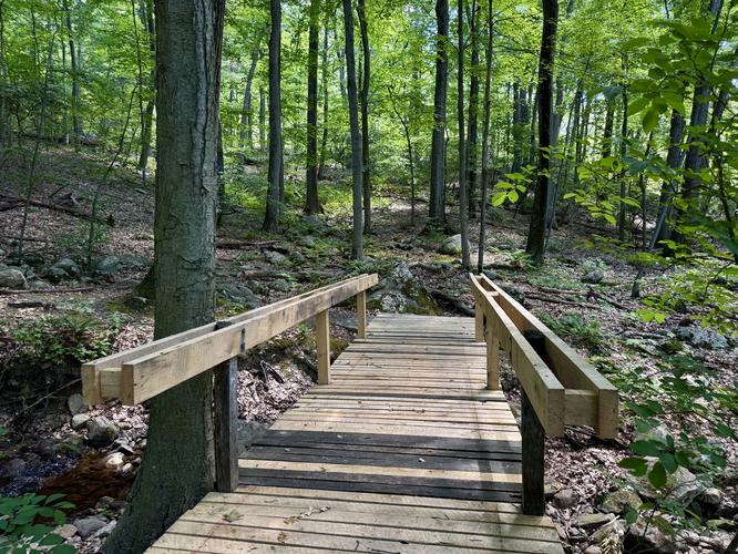 Creek crossing w/bridge