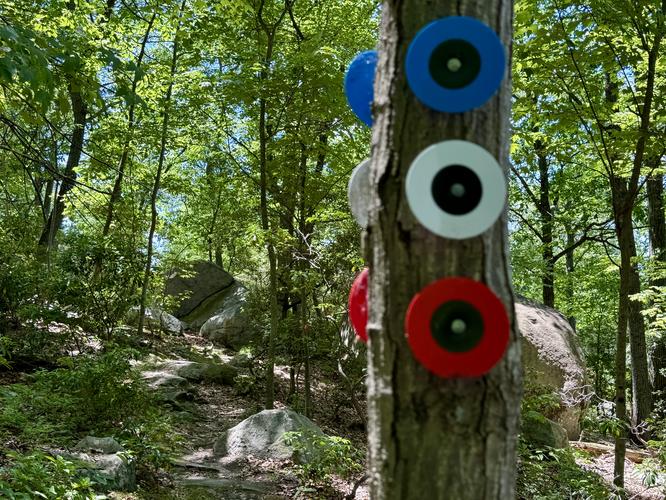 Picture 14 of Manitoga Loop Hike