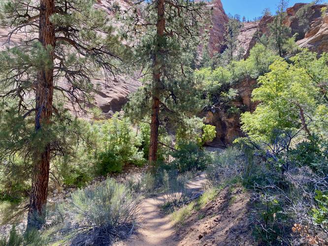 Hike downhill to reach the slot canyon